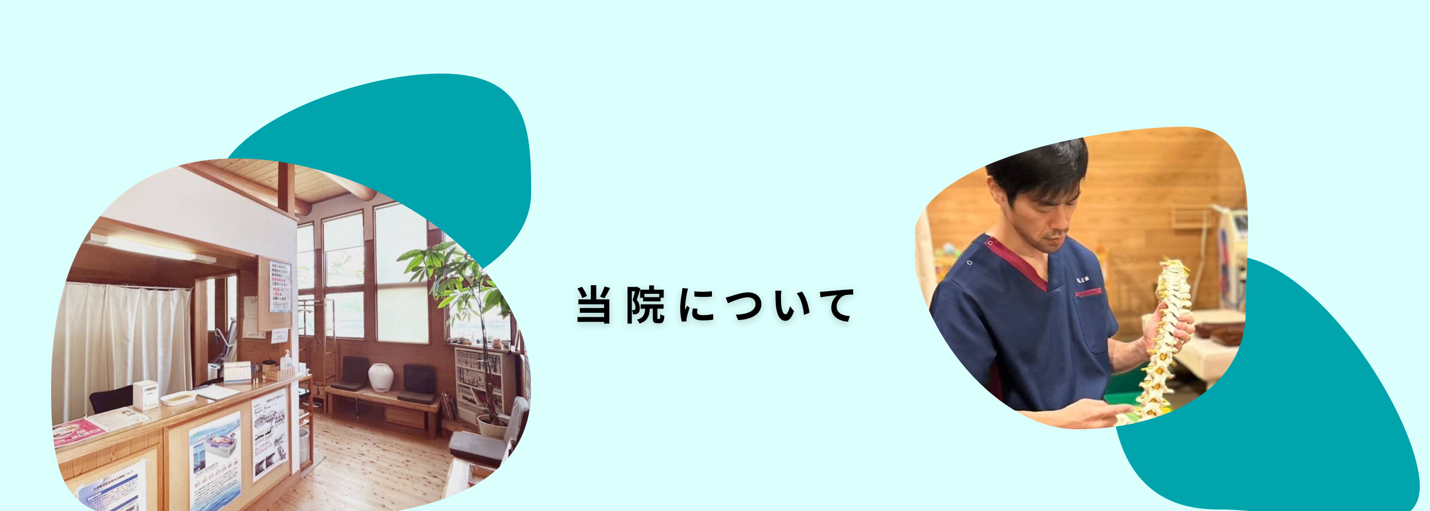 当院について
